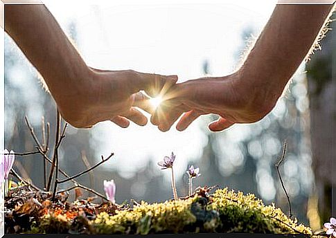 Hands on a field with flowers