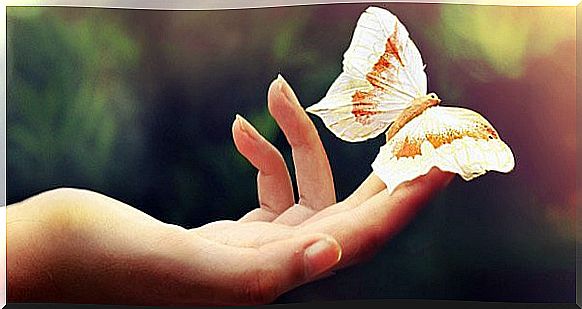 Hand with butterfly