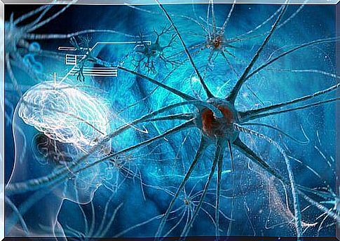 Brain neurons symbolizing the neurobiology of the psychopath