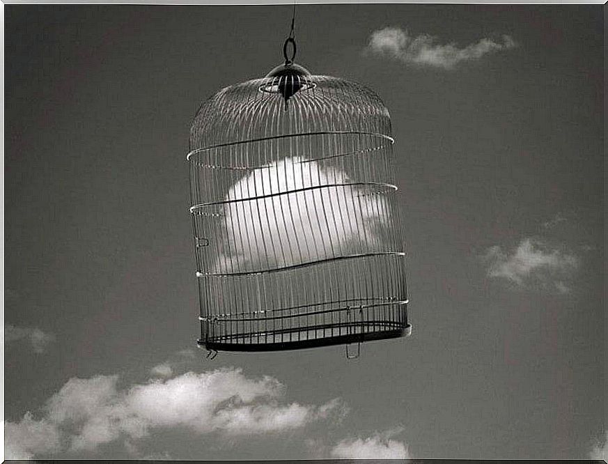 Cage with an enclosed cloud