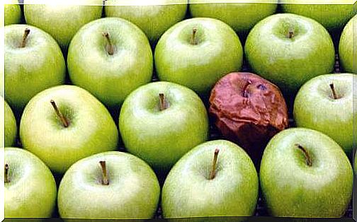 The Bad Apple Theory: The Bad Co-worker Effect