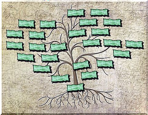 Drawing of a family tree