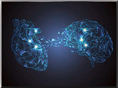 The neurovisceral integration model: the brain-heart connection